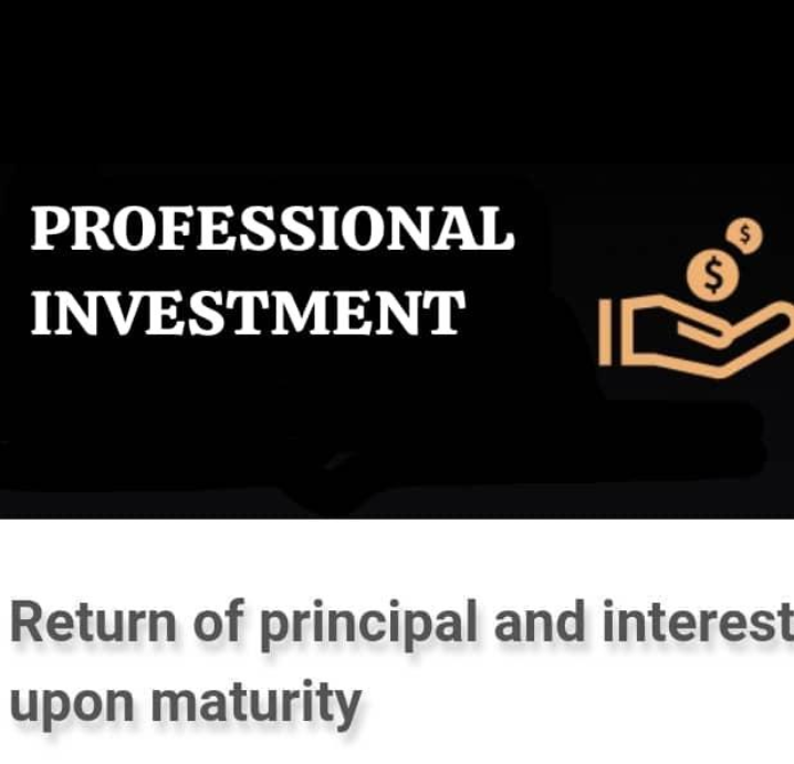 Professional Investment